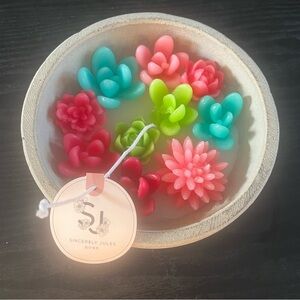 Sincerely Jules home succulent candle